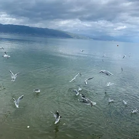 Grand Pogradec 5*